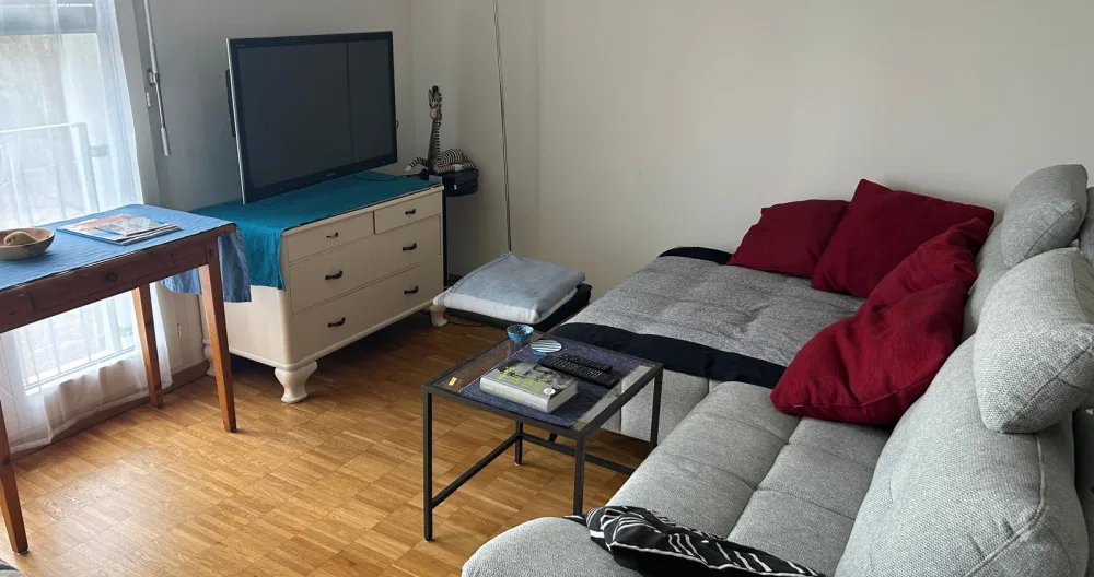 Mathias's listing on misterb&b - Sofa and TV