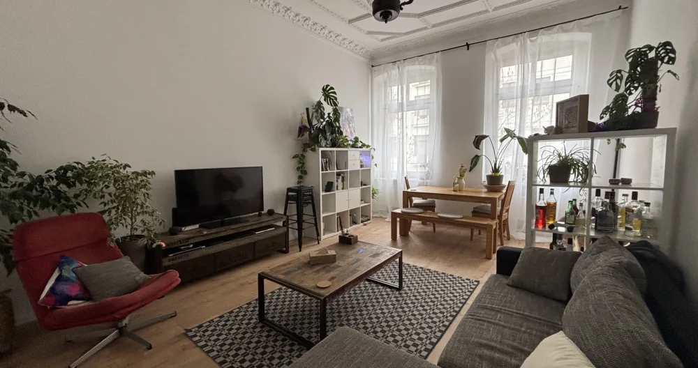 Santuário de plantas acolhedor e espaçoso no casamento - Quarto de brincar incluído - Foto 3