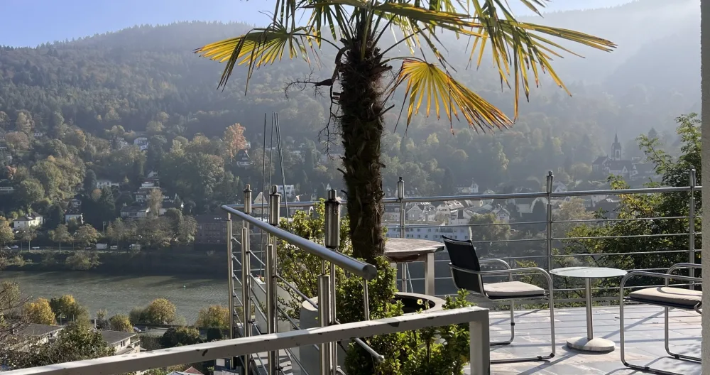 Patrick's listing on misterb&b - View from terrace (accessible directly from your room) over Neckar valley, leading in 2km way (on foot or by bus) to the Old Town of Heidelberg 