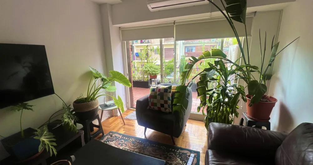 Bright & Spacious Apartment with Plants in Colegiales - Foto 1