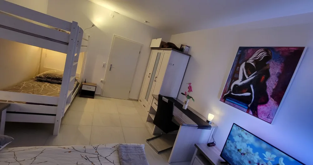 Baronessa room close to Stuttgart - Picture 2