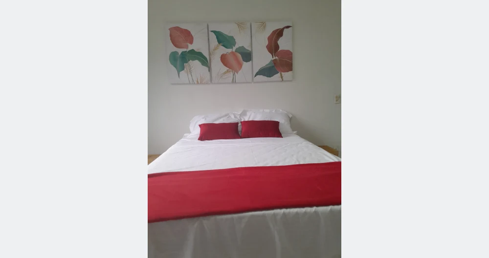 Place to stay in the City Center - Picture 2