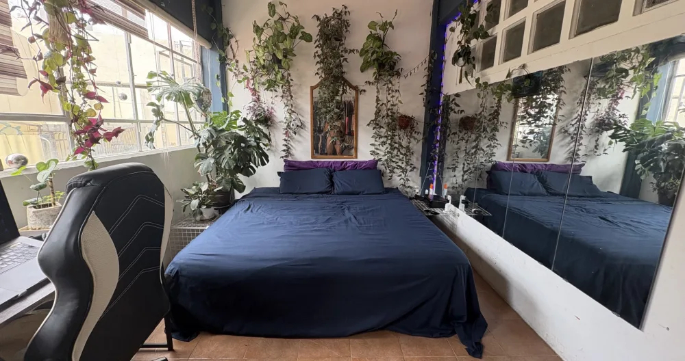 1 shared studio. nudist. kinky. king bed. massage. sessions avail - Picture 2