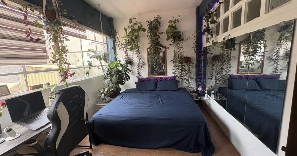 1 studio con letto king. Senza condivisione / estudio de 1 dormitorio sin compartir / 1 studio con camera da letto senza condivisione - Foto 2