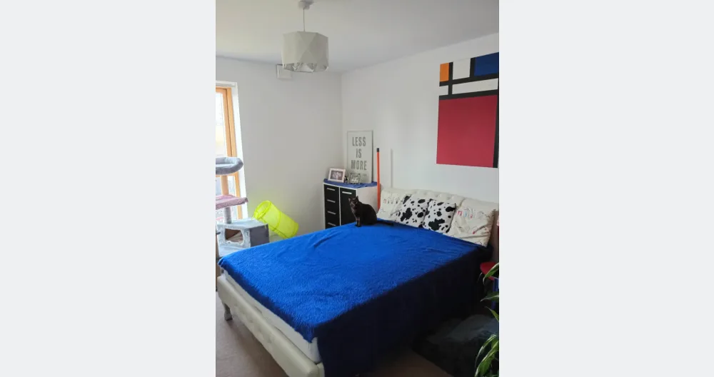 Das Zimmer der Cats in der Wohnung im Stadtzentrum von Brighton - Foto 1