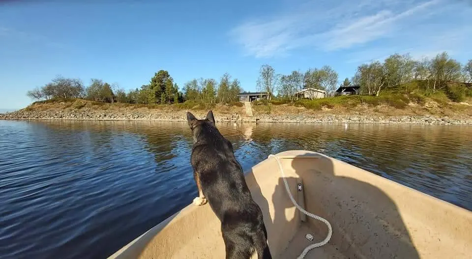 Adventure, peace, midnight sun, space. Finns lifestyle in Lapland. - Picture 2