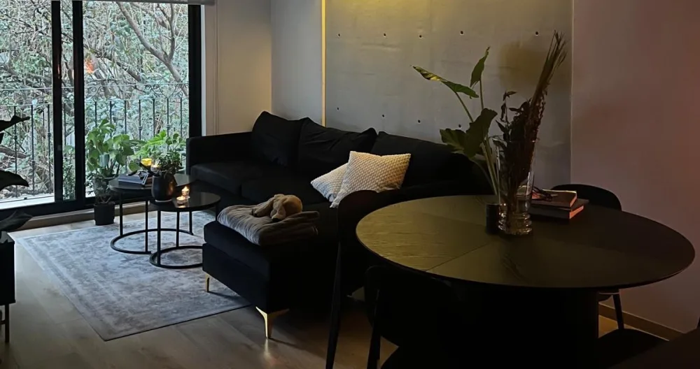 Vous cherchez un endroit confortable pour séjourner à Mexico en juillet ? - Photo 2