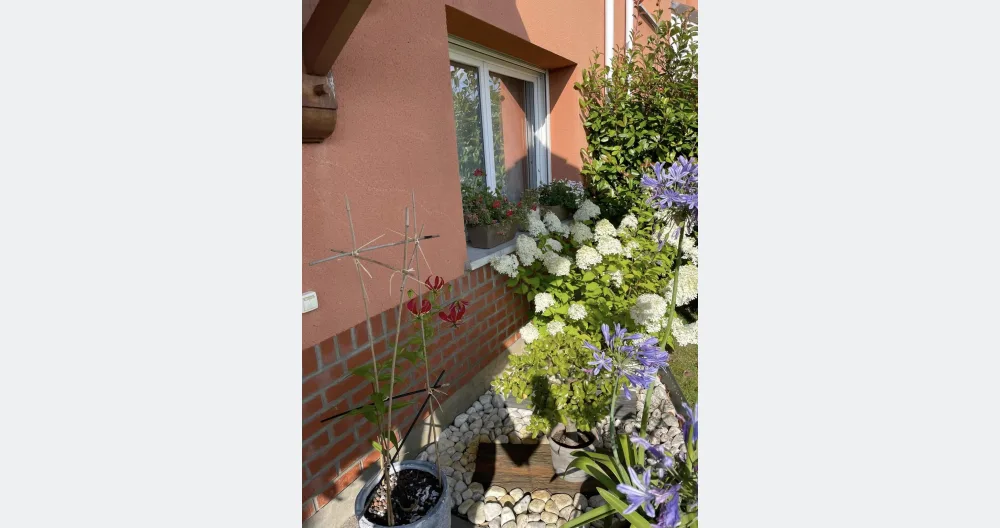 Vincent's listing on misterb&b - Plant lovers
