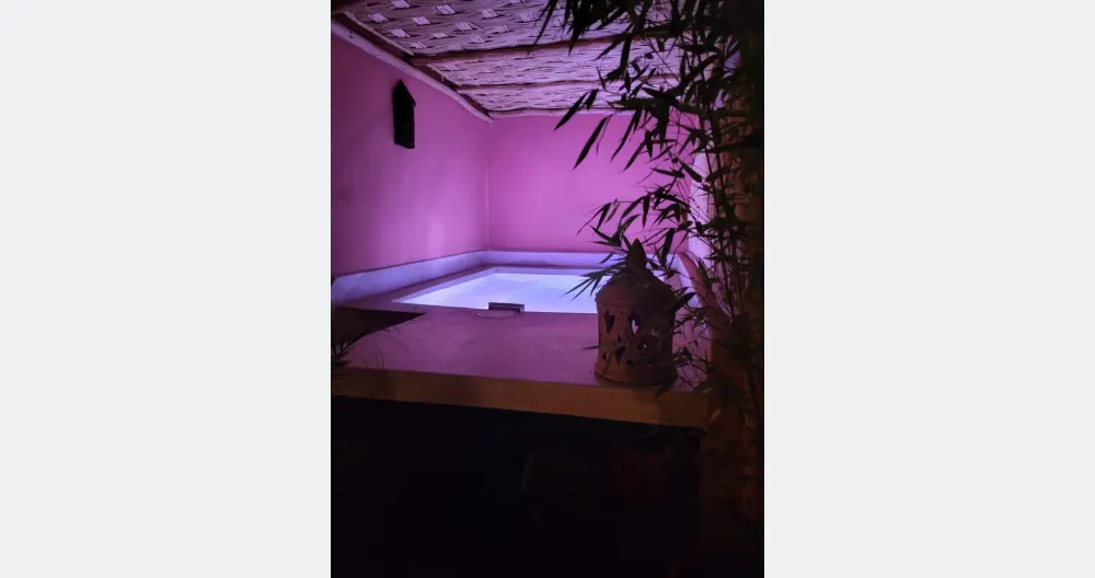 Annonce de Michael sur misterb&b - Petit bassin en terasse 