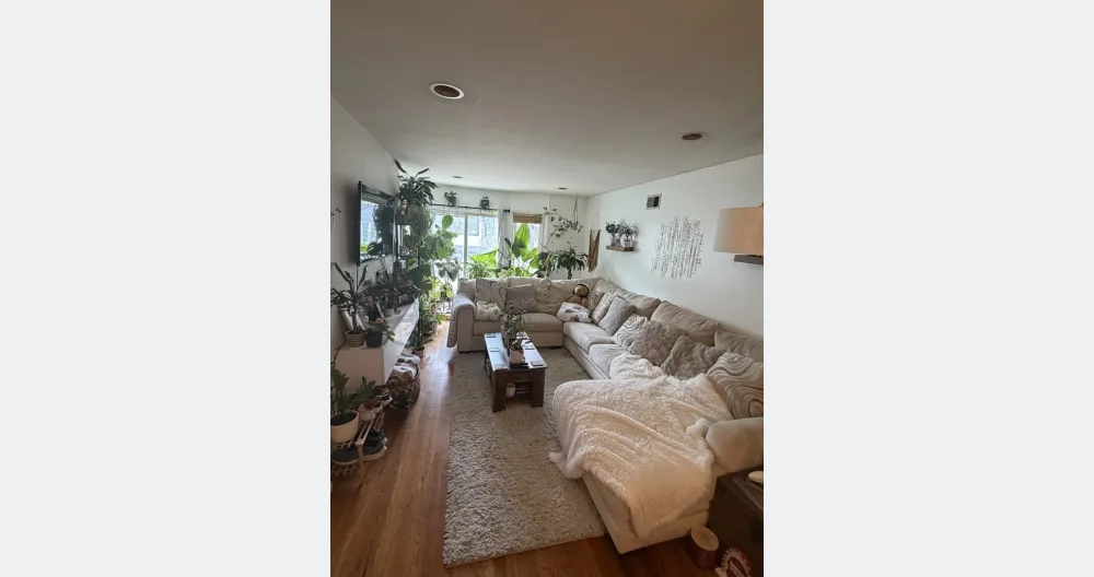 Gemütliche Wohnung mit eigenem Zimmer und Bad in Jersey City Heights - Foto 2