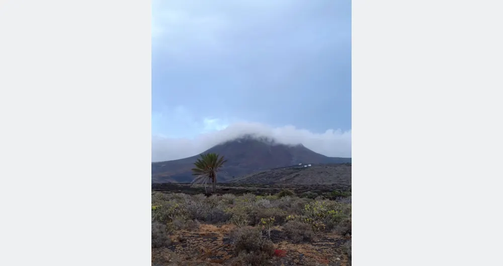 Annonce de Finca sur misterb&b - Volcan Corona