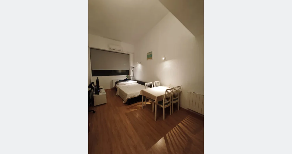 Daniels Inserat auf misterb&b - Schlafsofa in der Wohnzimmer-Küchenzeile
