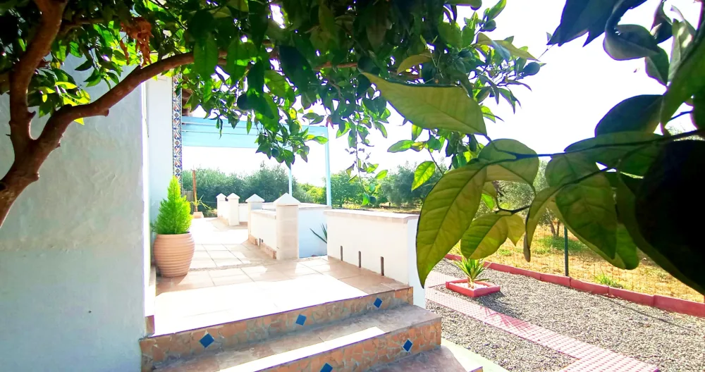 Finca el Aulagar 1 - Foto 1