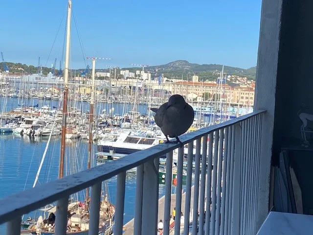 Eine sehr schöne und helle Wohnung am Hafen von Toulon - Foto 2