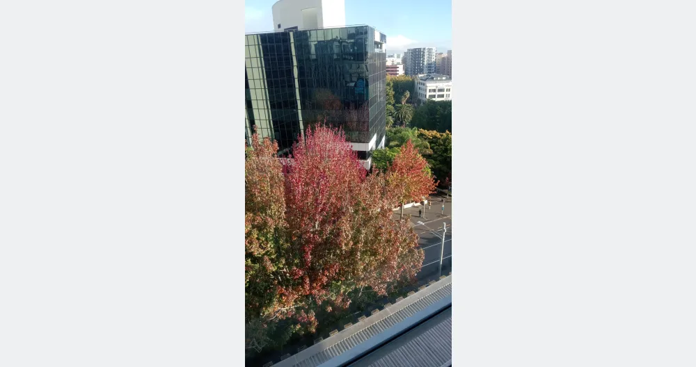 one bedroom apartment close to Auckland rainbow community - Picture 2