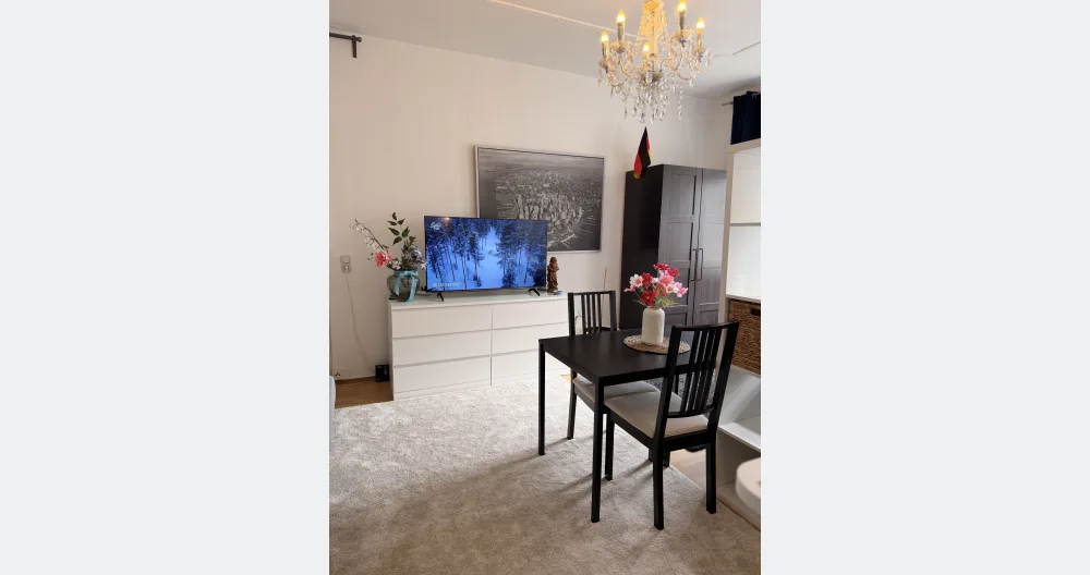 Modern, Cozy Apartment in the Heart of the City  - Picture 2