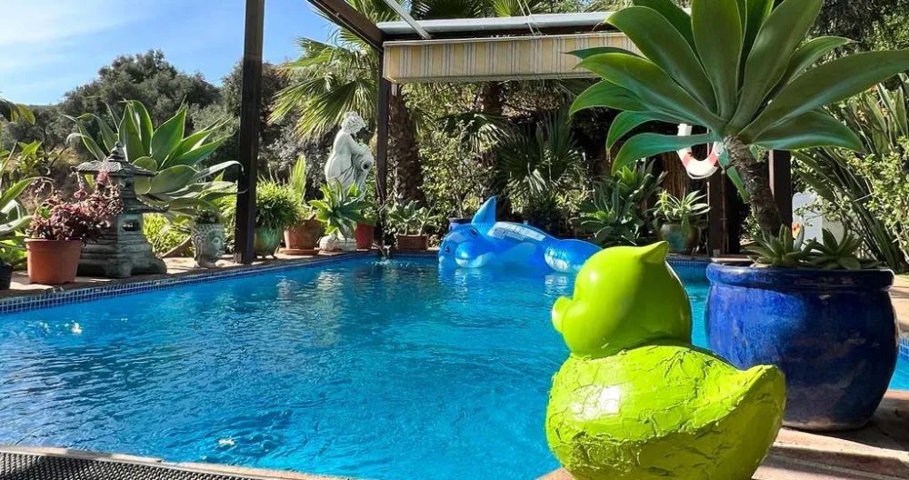 Paul's listing on misterb&b - Naked swimming ;)