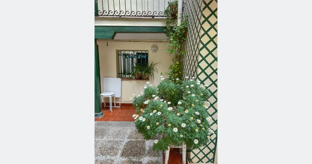 Cozy apartment in downtown Madrid - Picture 1