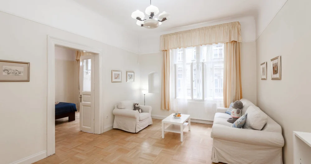 Historic Center - spacious apt close to Wenceslas Square and Old Town - Picture 1